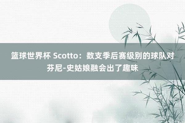 篮球世界杯 Scotto：数支季后赛级别的球队对芬尼-史姑娘融会出了趣味