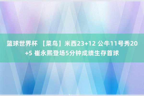 篮球世界杯 【菜鸟】米西23+12 公牛11号秀20+5 崔永熙登场5分钟成绩生存首球