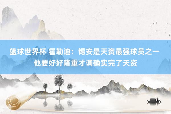 篮球世界杯 霍勒迪：锡安是天资最强球员之一 他要好好隆重才调确实完了天资