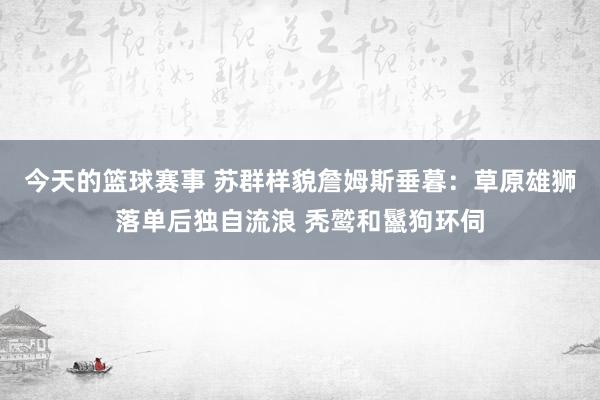 今天的篮球赛事 苏群样貌詹姆斯垂暮：草原雄狮落单后独自流浪 秃鹫和鬣狗环伺