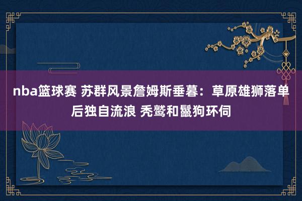 nba篮球赛 苏群风景詹姆斯垂暮：草原雄狮落单后独自流浪 秃鹫和鬣狗环伺